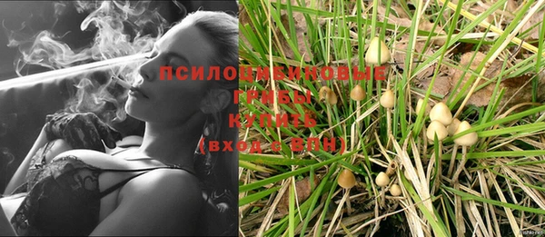 прущая мука Алзамай