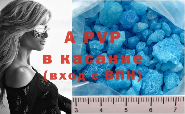 сатива Абинск