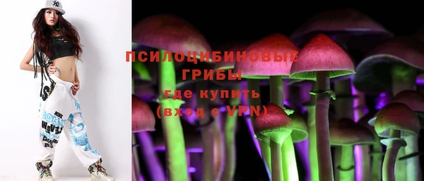 винт Алексин
